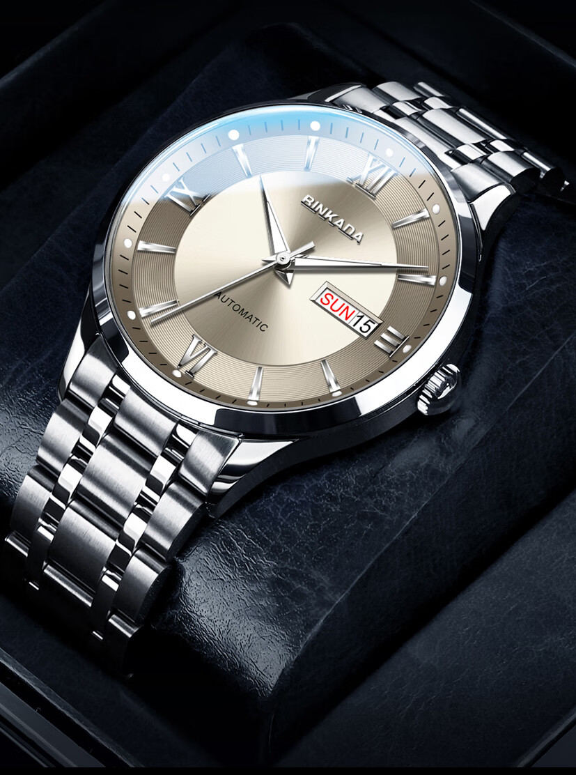 BINKADA Seagull Series Men's Mechanical Automatic Watch Top 10 Brand 2026 New Model 520 Gift 1