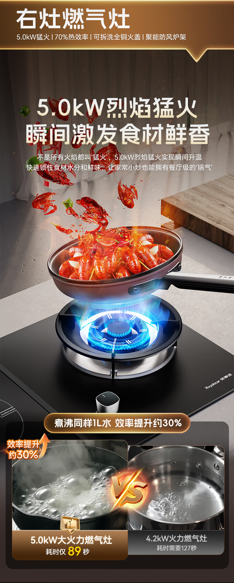 Royalstar Extraordinary Series Dual Fuel Gas and Electric Stove Built-in Double Burner Gas Cooker with Copper Burner Cap JZDY-25A1 Left 8
