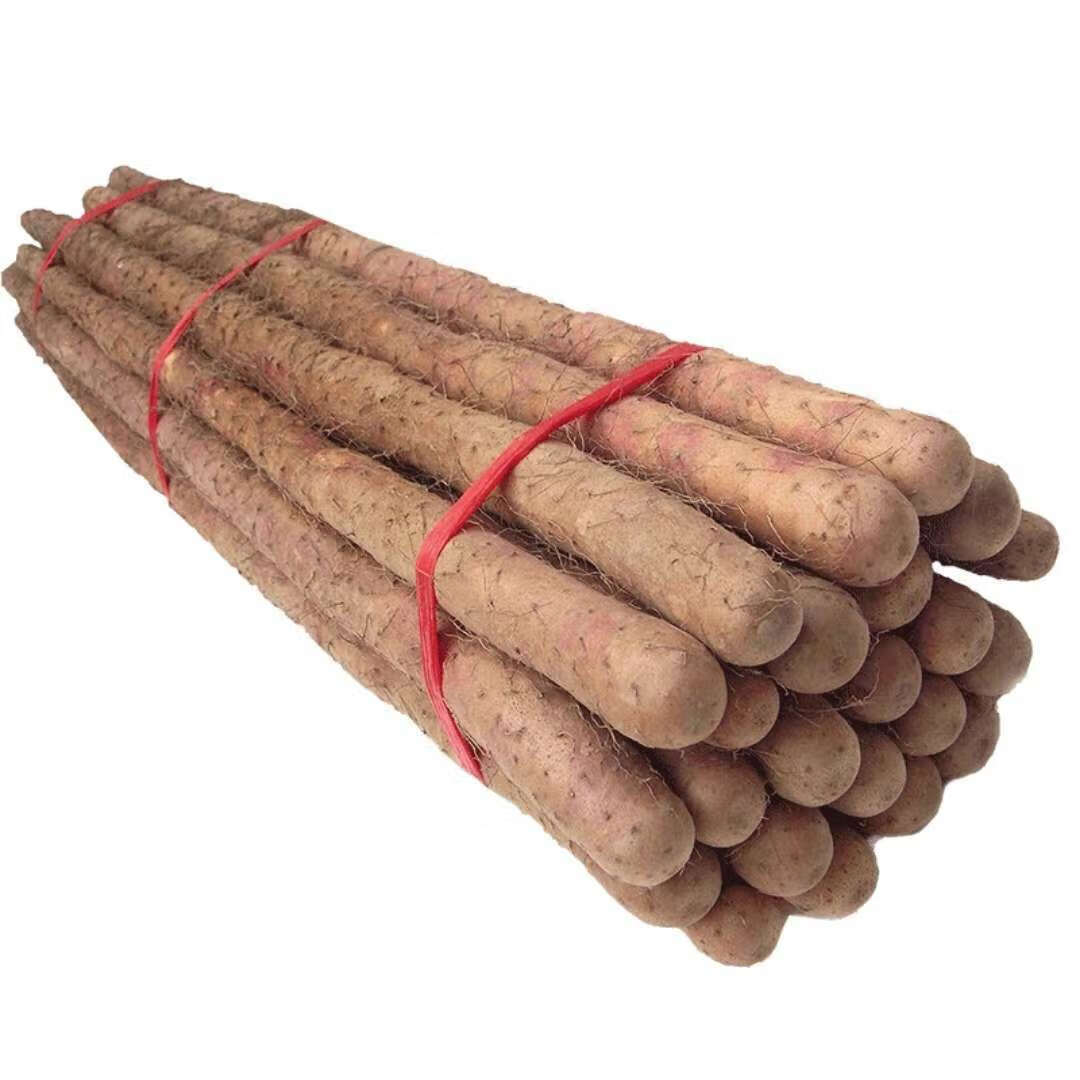 是否为有机食品: 否 包装方式: 散装 新鲜山种类: 温县铁棍山药货号:1