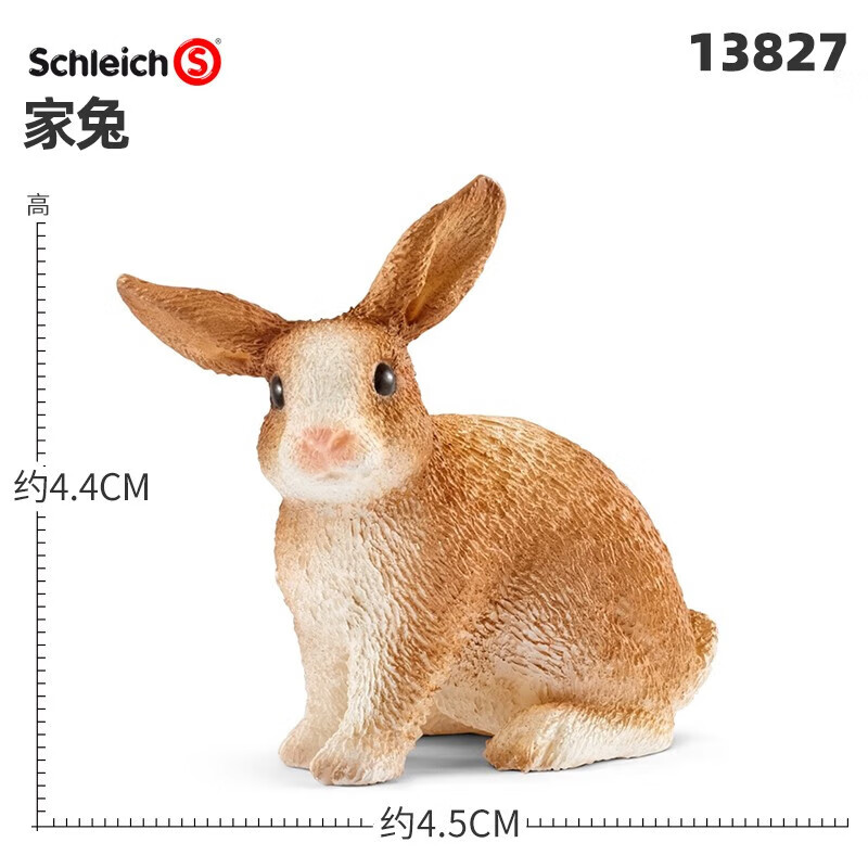 71ab7b939b943608.jpg
