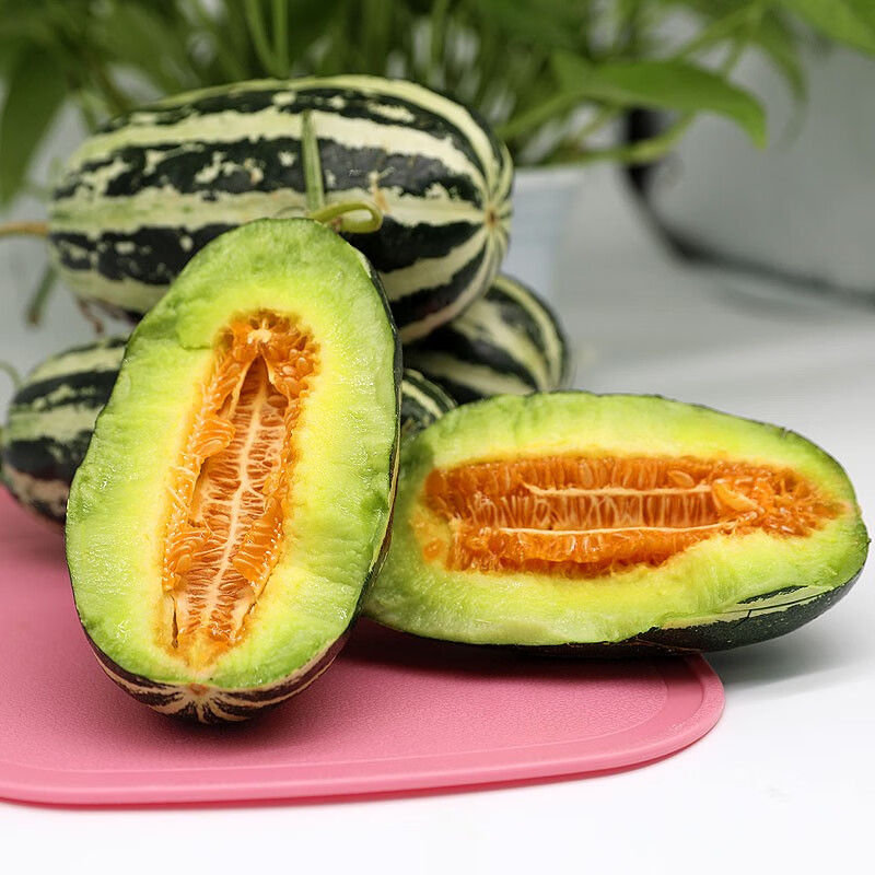 适用于甜瓜山东博洋9甜瓜精选果新鲜香瓜脆瓜蜜瓜博洋61号新鲜水果