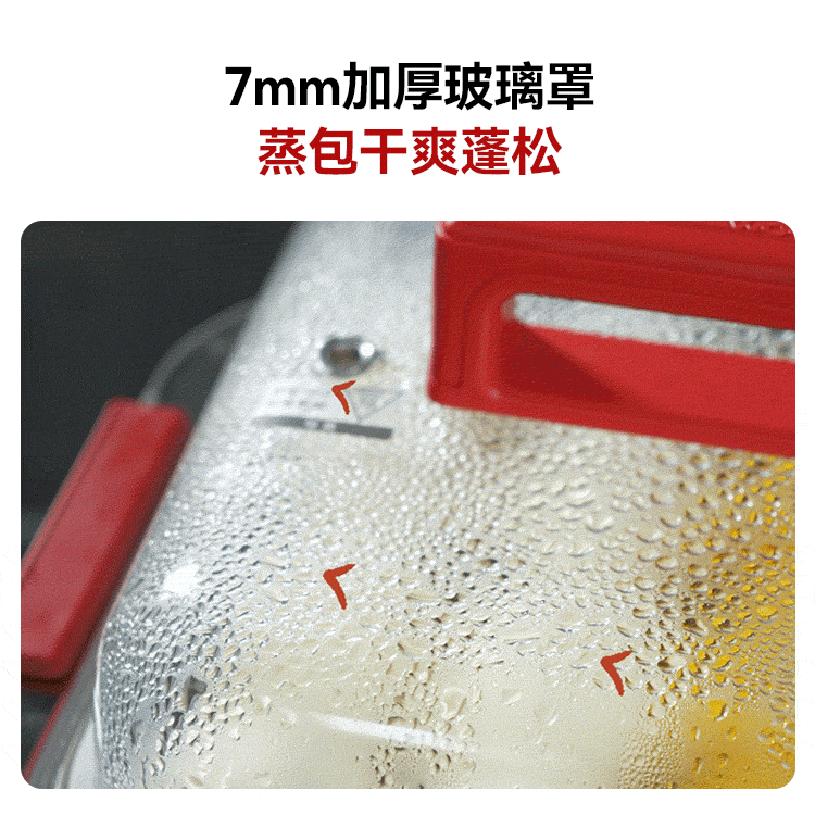 DAEWOO Wanshi Electric Steamer Thickened High Borosilicate Glass Multifunctional Stew Steam Cook 3-in-1 Steam Pot Grill Hot Pot Stainless Steel S31 Red 8