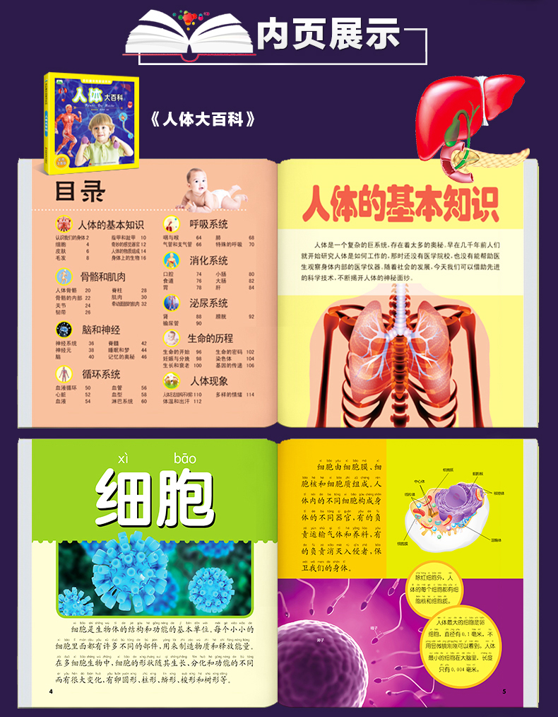 人体大百科 彩图注音版少儿科普图画书籍 揭秘人体奥秘我们的身体知识