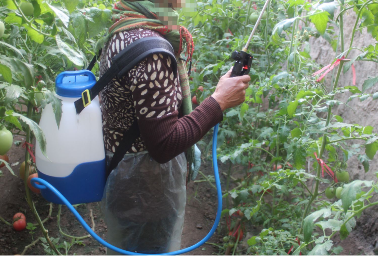 番茄电动喷花授粉器点花神器大棚樱桃喷花器黄瓜沾花器西红柿授粉 三