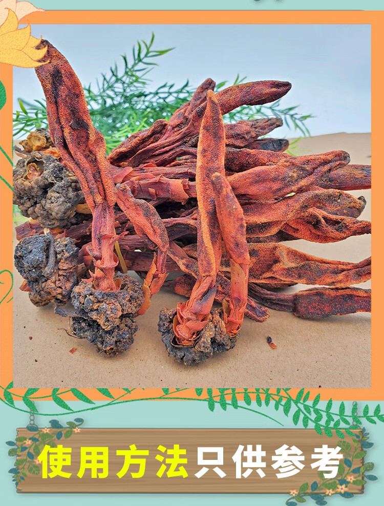 云南回春草野生顶天柱泡酒药材泡茶泡水深山不出头鹿仙草粉不老草 选