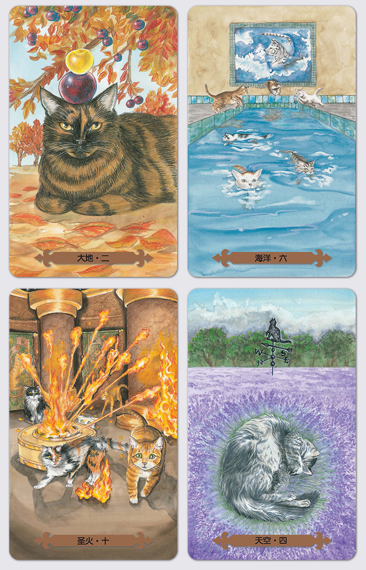 猫咪猫魅韦特牌塔罗套装初学者伟特塔牌罗塔卡罗牌tarot cards 猫塔罗
