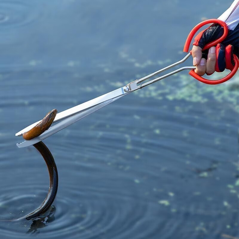 照战黄鳝夹子加厚加长防滑鳝鱼夹不锈钢抓螃蟹泥鳅钳子赶海长鱼捕捉器