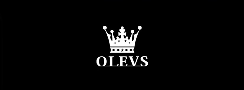 OLEVS Swiss Certified Men's Mechanical Watch Automatic Skeleton Tourbillon Multifunction Genuine Men's Watch 20