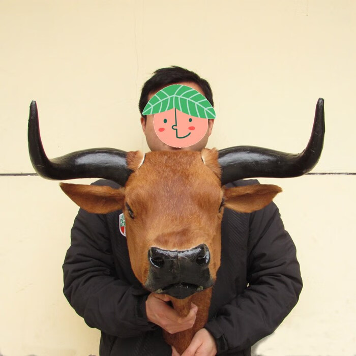 一比一真皮仿真牛头动物模型墙壁挂件装饰酒吧客厅标本创意礼品 真皮