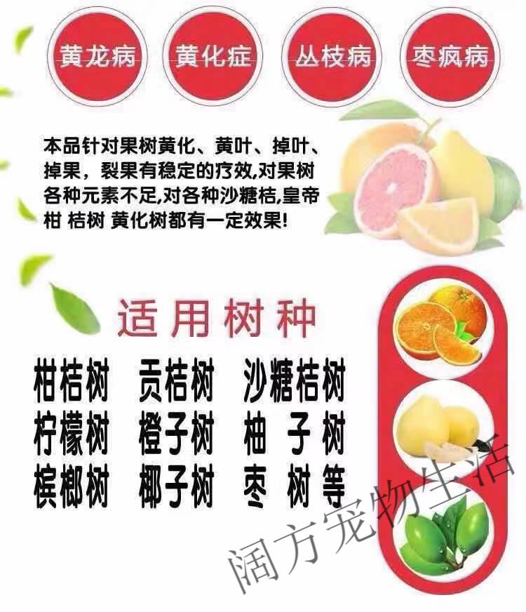 盐酸四环素农用黄龙病黄化症柚子脐橙柑橘果树专用药泰国红黑胶囊 1
