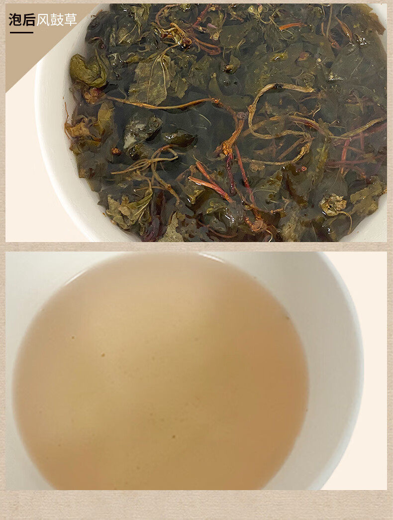 野生风柜斗草 250g 干品正宗福建深山风鼓草风谷草风骨草楮头红【图片