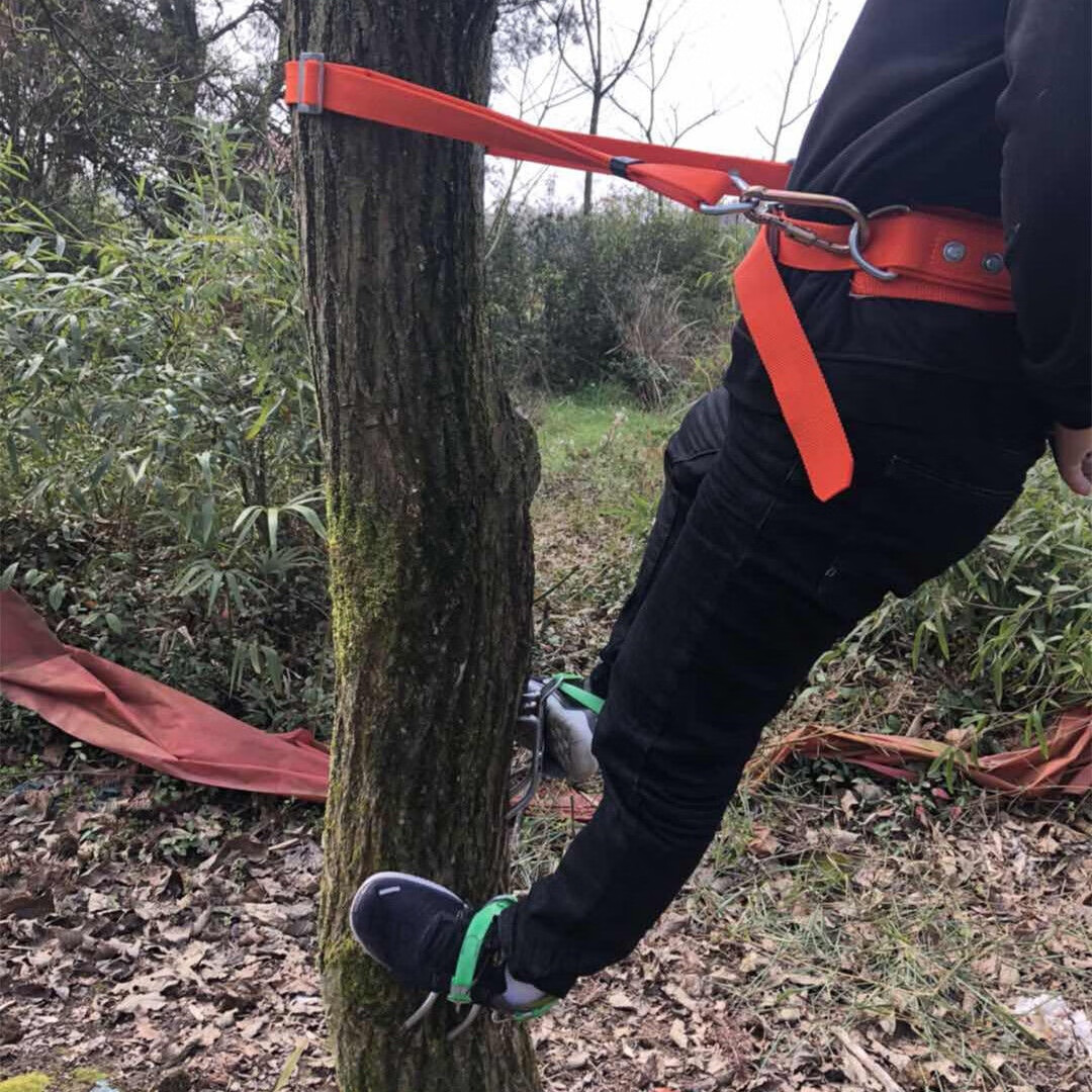 5爪爬树器>爬树神器猫爪子爬树工具【图片 价格 品