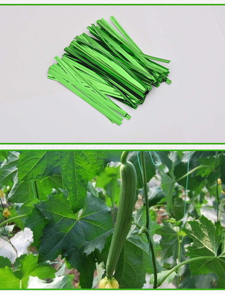 【抖音同款 解暑神器】禧顺 丝瓜套袋专用水果袋子黄瓜防虫防水苦瓜