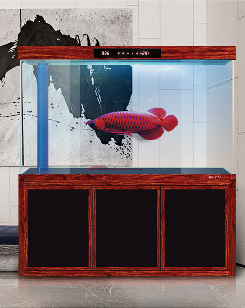 seastar乐事海星中型大型超白鱼缸 底部过滤龙鱼缸家用水族箱客厅玻璃