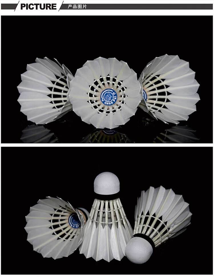 超牌chaopai羽毛球蓝超鸭毛羽毛球俱乐部训练耐打chaopai比赛用球稳定