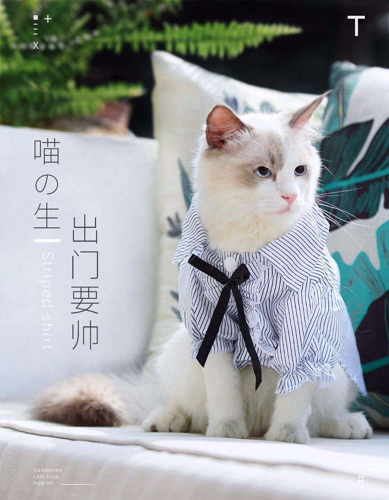 猫衣服春装衬衫小猫幼猫成猫加菲猫蓝猫夏装春秋薄款猫咪公主服饰蓝色s 图片价格品牌报价 京东