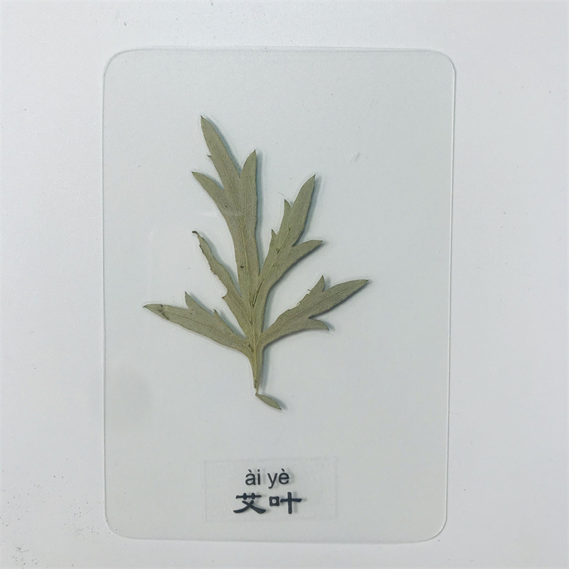 天然植物标本 塑封书签 儿童教学标本 diy干花书签押花标本 燕麦叶