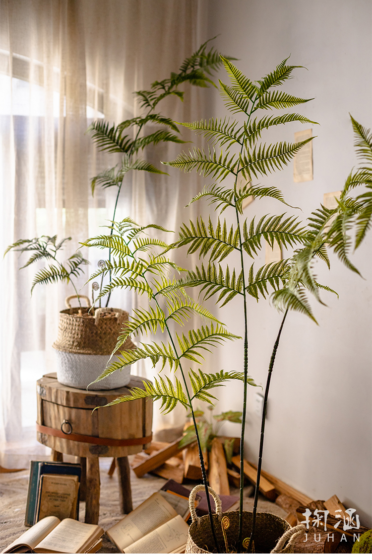 掬涵 仿真綠植金絲猴厥大型落地植物盆景客廳室內外侘寂風蕨類擺件