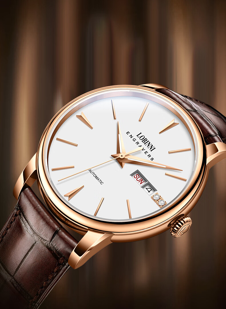 罗宾尼(lobinni) 【人气京选】手表男全自动机械表商务背透防水真皮男