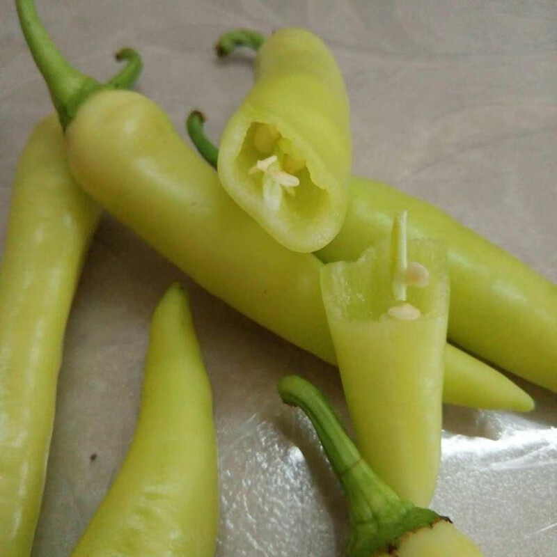 轻恋现货 广西野山椒 新鲜小米椒 白辣椒 白玉椒 尖椒 新鲜蔬菜辣子