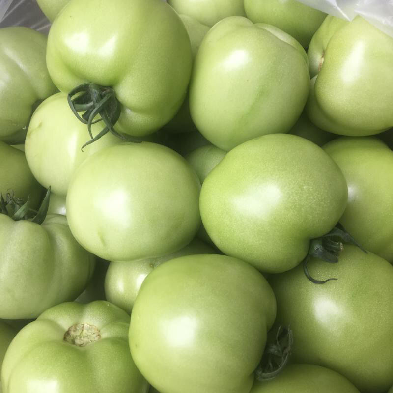 青西红柿新鲜未成熟青番茄绿番茄新鲜 农家自种 清炒生脆好吃 1斤装