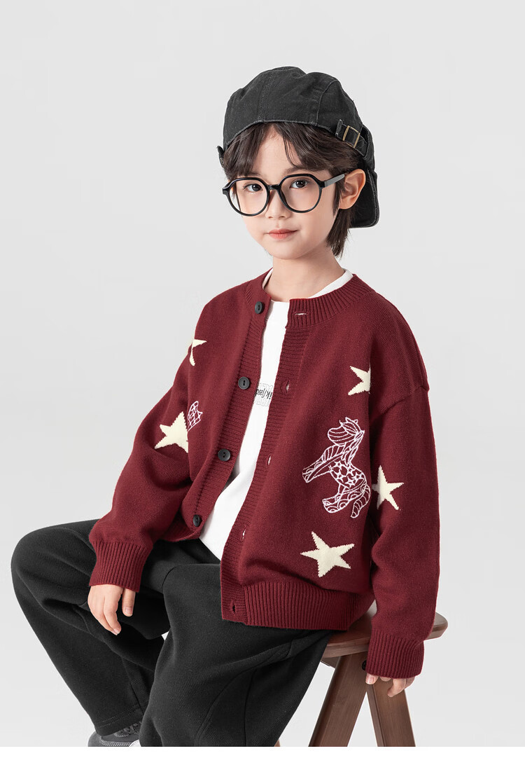 Duoduo Home [Year of the Horse New Clothes] Boys' Knitted Sweater 2026 Spring Autumn Cartoon Embroidered Stylish Children's Warm Innerwear Sweater 7