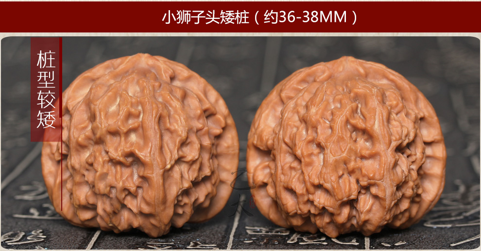 fc563d888e57a2a5.jpg