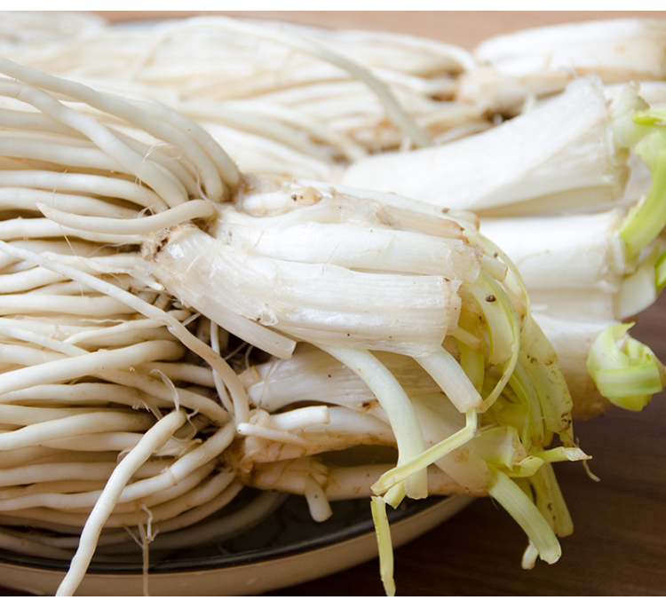 云南苤菜根1kg 保山新鲜蔬菜老品种撇菜根用韭菜炖汤小炒腌制