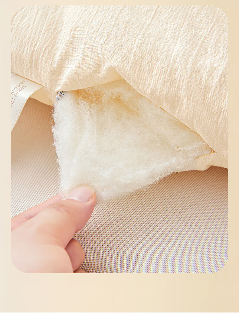 Hodo Thickened Winter Soybean Quilt Cotton Core 1.8x2.2m 5 Jin Dormitory Single Quilt Undyed 3