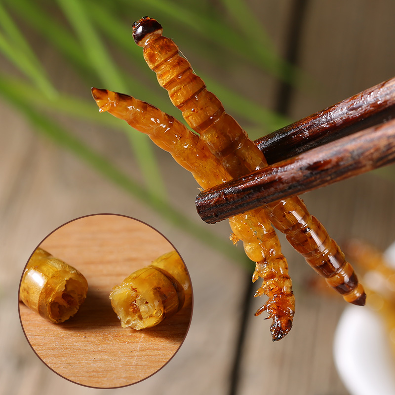 伟博大麦虫新鲜活体速冻500g养殖大面包虫高蛋白食用黄粉虫即食【图片