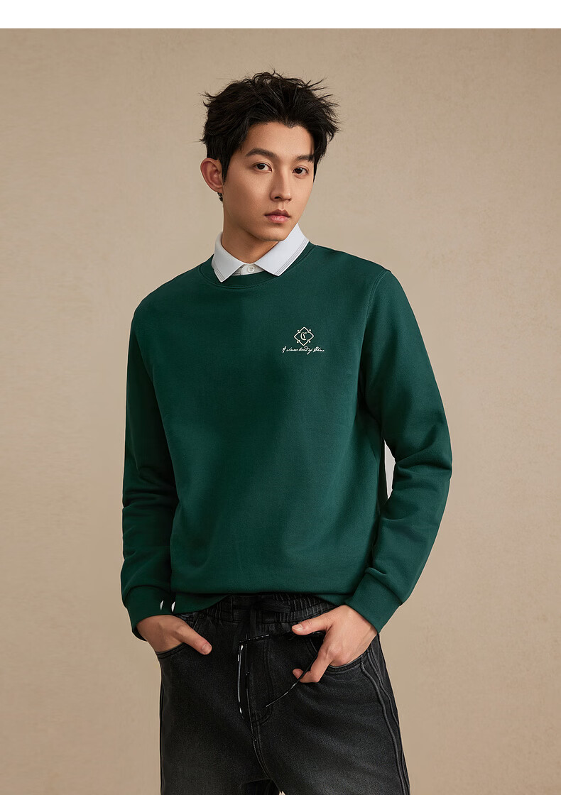 CABBEEN 340G Cotton Sweatshirt Men's Heavy-Duty 3D Multi-Needle High-End Floral Embroidery 2026 Spring Long Sleeve Sweatshirt 17