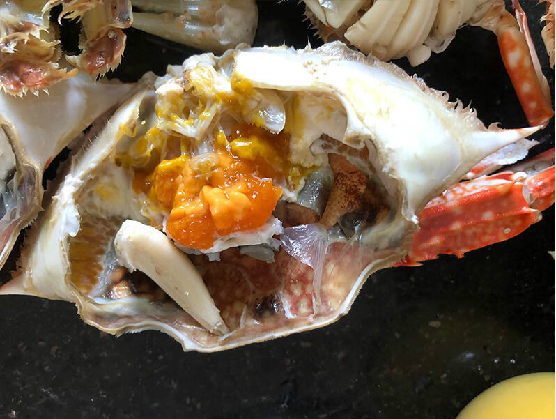 5折 梭子蟹 兰花蟹 湛江特产 海鲜新鲜蟹 鲜活海蟹 母蟹 膏蟹 中大