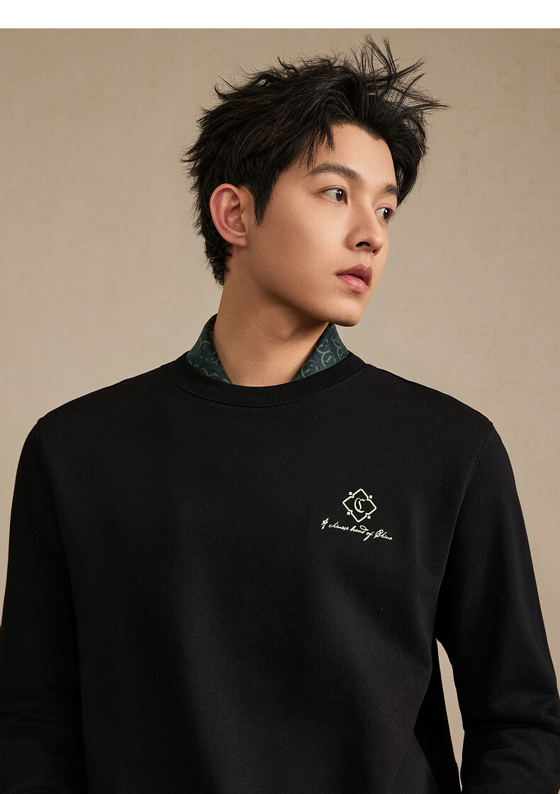 CABBEEN 340G Cotton Sweatshirt Men's Heavy-Duty 3D Multi-Needle High-End Floral Embroidery 2026 Spring Long Sleeve Sweatshirt 13