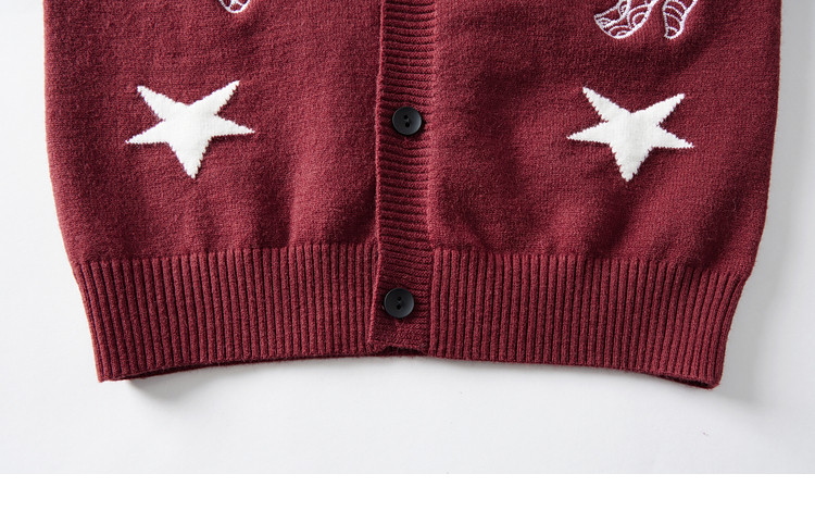 Duoduo Home [Year of the Horse New Clothes] Boys' Knitted Sweater 2026 Spring Autumn Cartoon Embroidered Stylish Children's Warm Innerwear Sweater 31