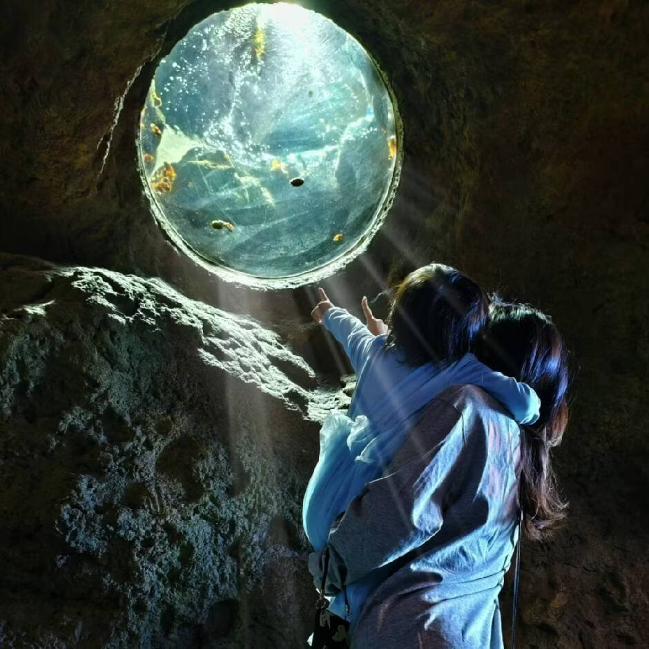 游戏公司 | 未公开