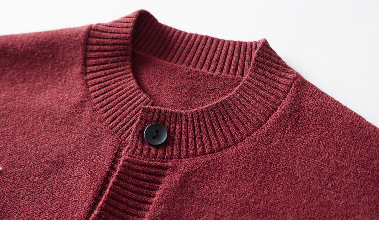 Duoduo Home [Year of the Horse New Clothes] Boys' Knitted Sweater 2026 Spring Autumn Cartoon Embroidered Stylish Children's Warm Innerwear Sweater 29