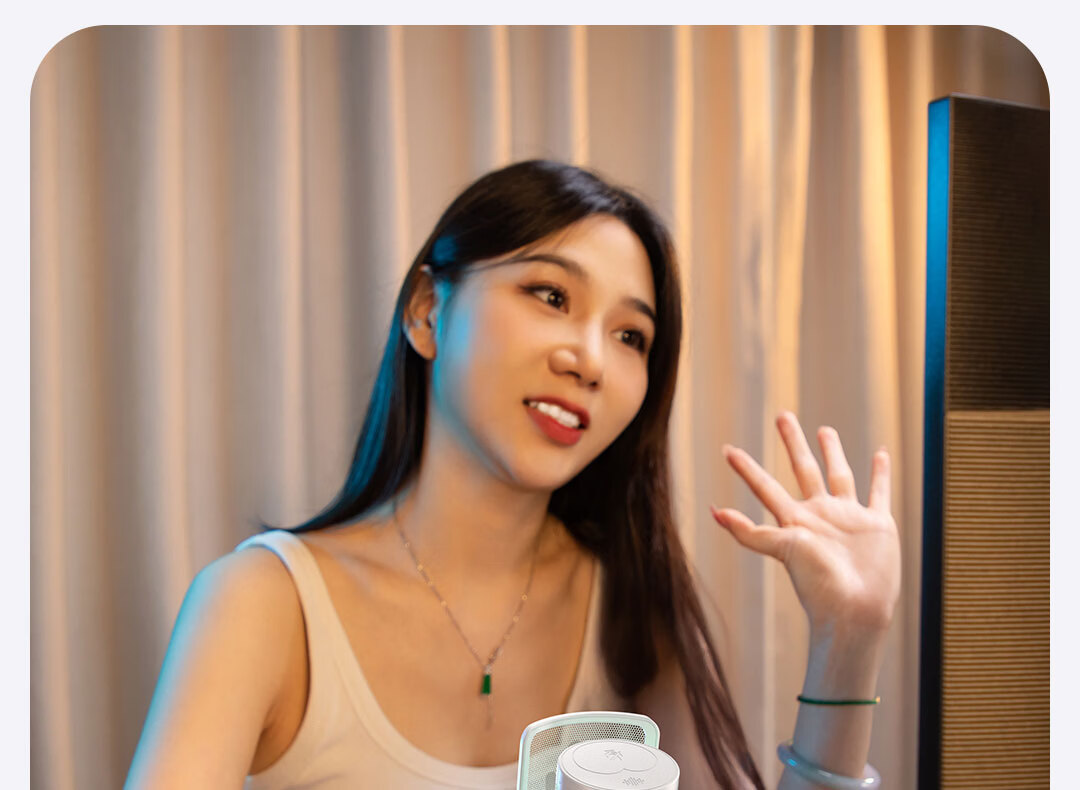 Maono Wireless Microphone Live Singing KTV Condenser Microphone Professional Built-in Sound Card Computer Mobile Recording Dedicated Device Software Reverb Tuning DM40Live Desktop Model 8