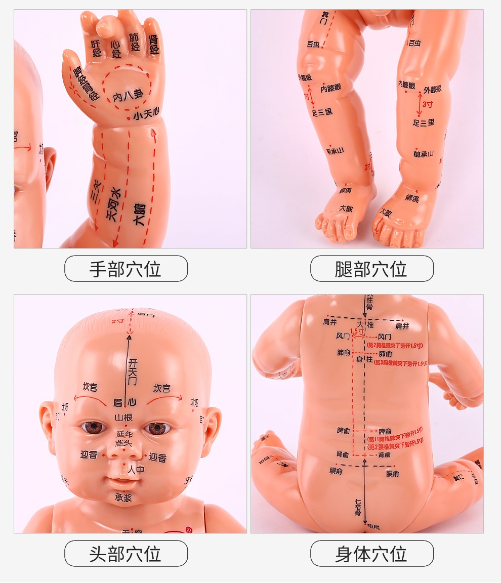 子彧 小儿推拿模型 宝宝穴位模型 儿童人体模型 穴位图 月嫂培训教学