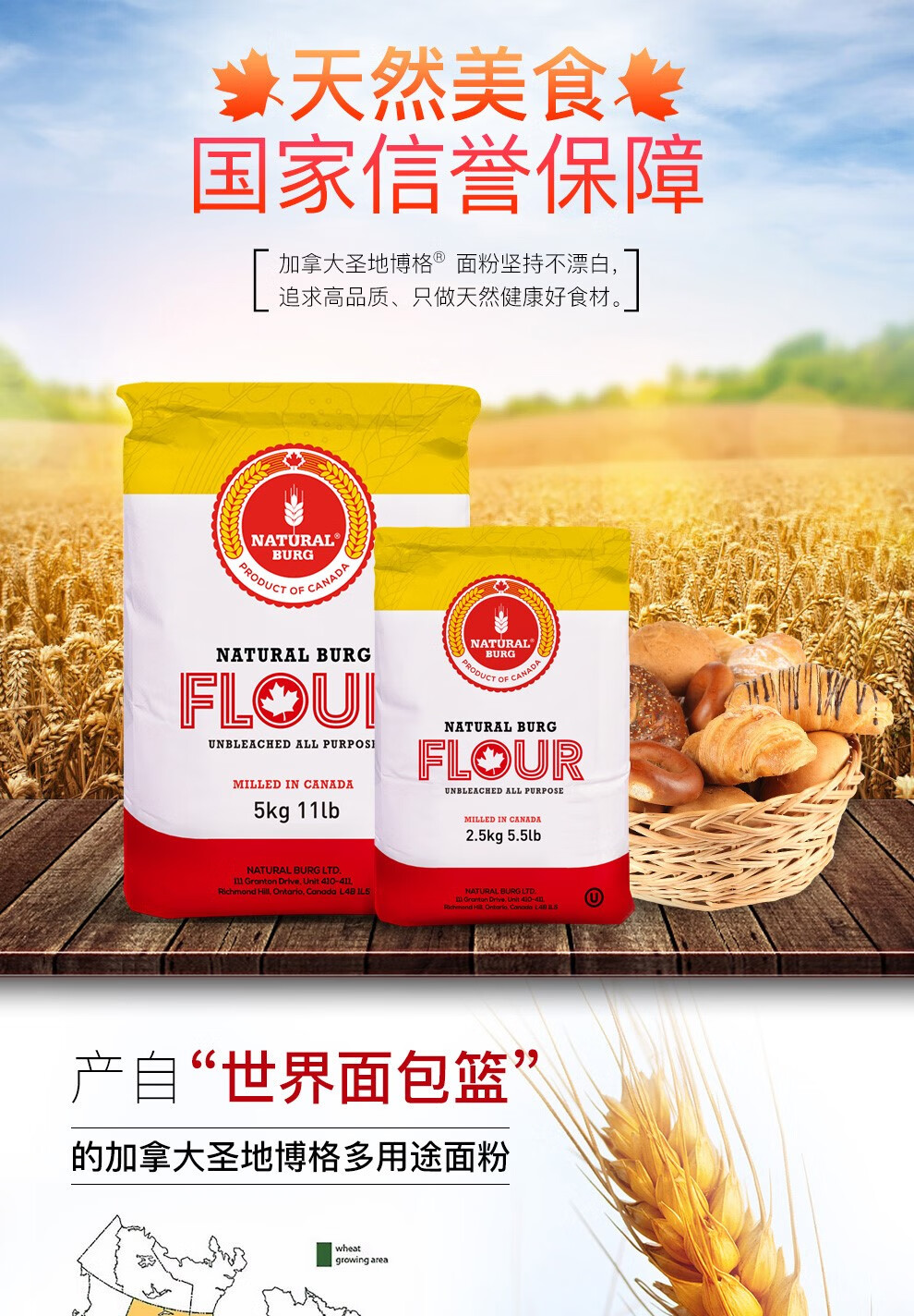 加拿大进口高筋小麦面粉5kg圣地博格吐司披萨面包烘焙 保质期2023.11.