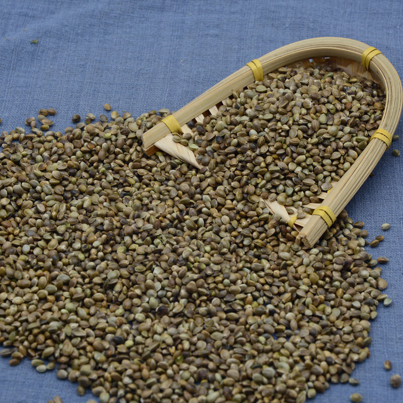 麻子中颗粒火麻籽鸟食火麻仁鹦鹉鸟粮饲料仓鼠松鼠粮鸽粮饲料5斤