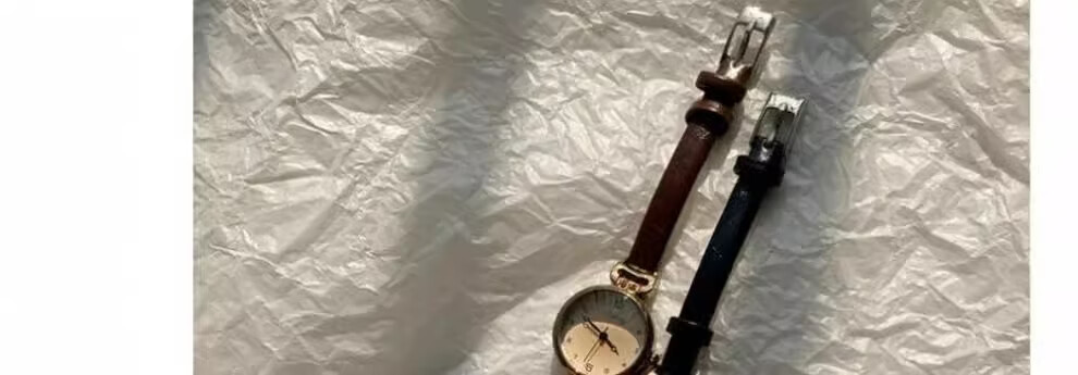 George Earl Women's Watch Lightweight Luxury Niche Brand 2026 New Silent Exam Vintage Simple Student Girl Watch 15