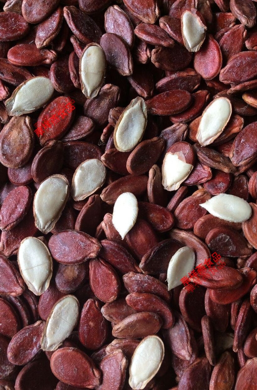 桂林特产红西瓜子原味广西特产农家自产原味红瓜子婚庆红瓜子500g1斤