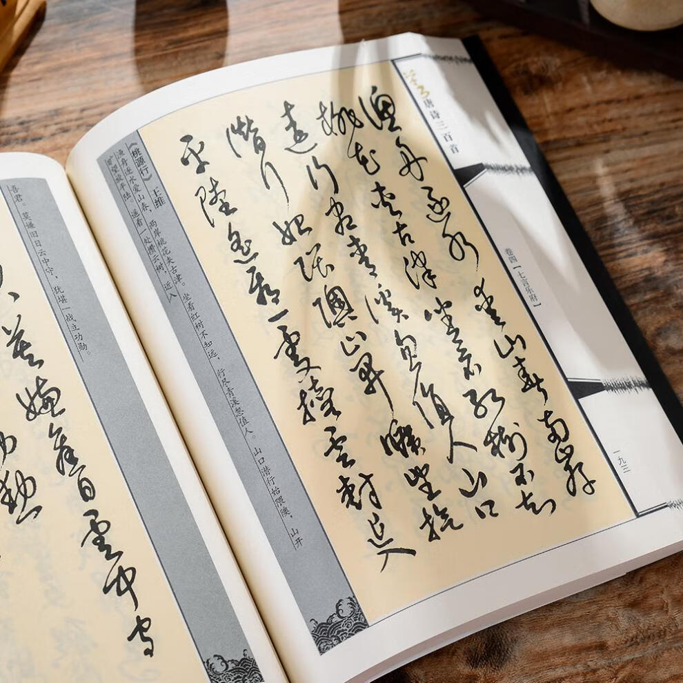 柯昂(keang) 草書唐詩三百首 毛筆字帖 名家詩詞五言古詩七言絕句書法