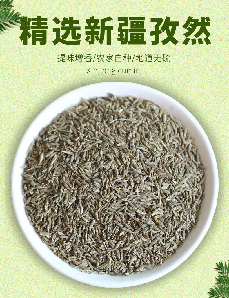 正宗孜然批发家用烧烤调料撒料香料卤料腌料 孜然粉 100g【特惠装】