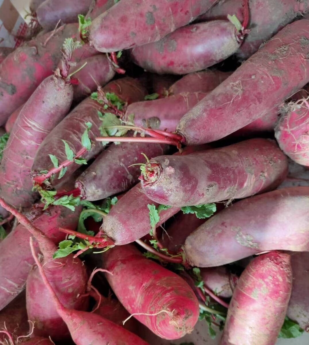 农家穿心红萝卜非全红胭脂萝卜红皮萝卜现拔现发邳州苏北鲁南特产