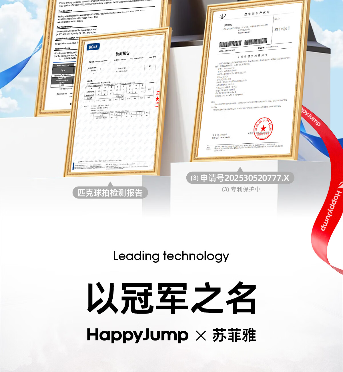HiJump (Germany) Pickleball Paddle Tournament Grade 18K Carbon Fiber T800 Carbon Fiber Professional Single Paddle 10
