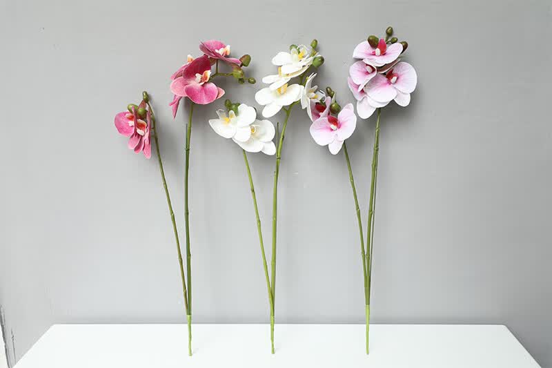 手感保湿仿真花客厅摆设大号仿真蝴蝶兰单支服装店装饰花仿真假花