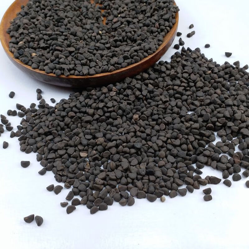黑丑中药材黑丑 黑牵牛子黑丑牵牛籽 喇叭花籽 黑丑250g【图片 价格