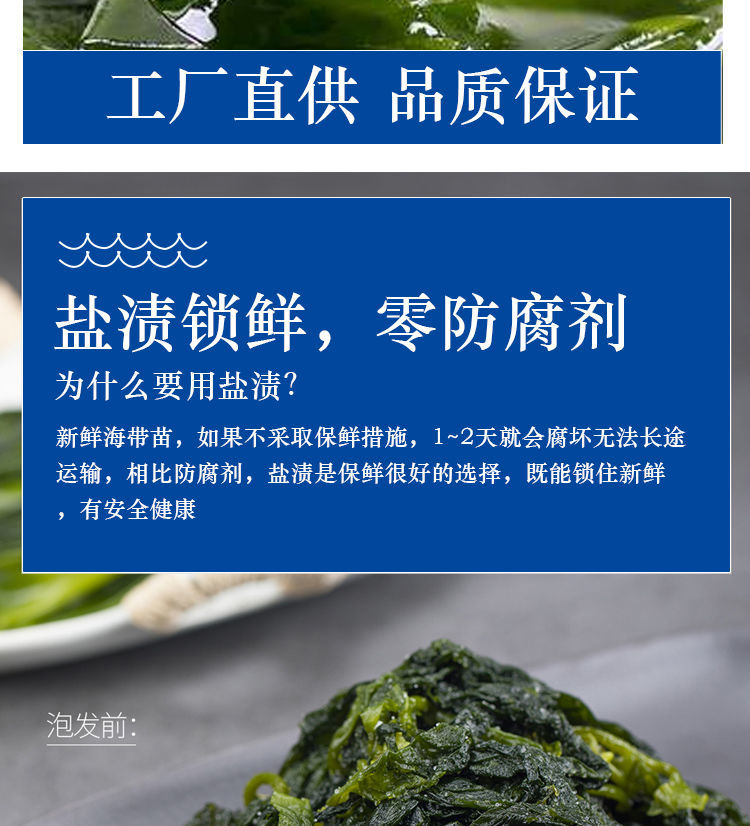 霞浦压缩海带嫩苗新鲜特级火锅食材盐渍裙带菜非干货小包装海带苗3斤
