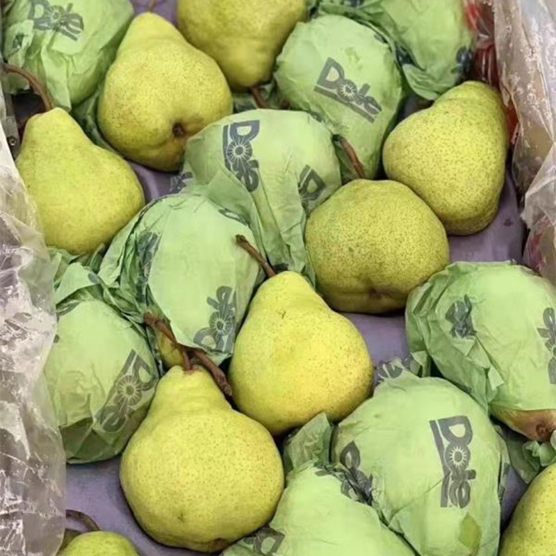 都乐大头梨dole新鲜应季水果青皮梨阿根廷甜糯香甜5斤